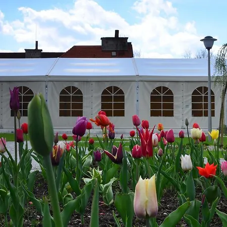 Rzepicha Biskupice (Poznan)