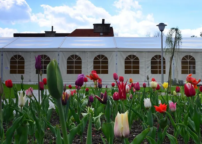 Rzepicha Biskupice (Poznan)